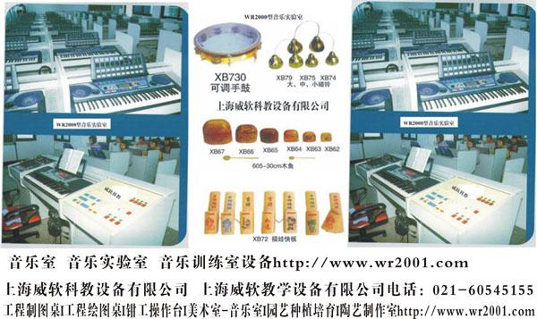 音乐训练室设备.音乐培训室-上海威软科教设备提供音乐室.
